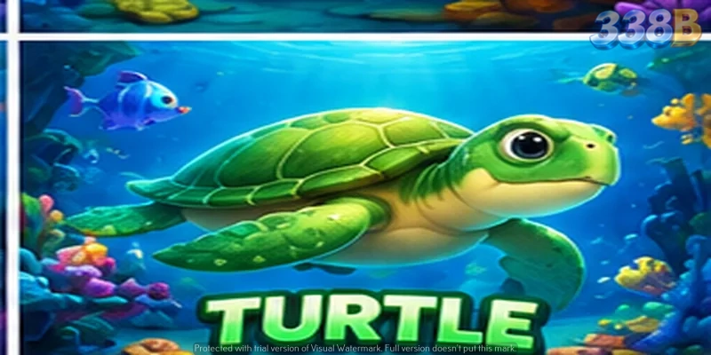 fish-shooting-08.webp
